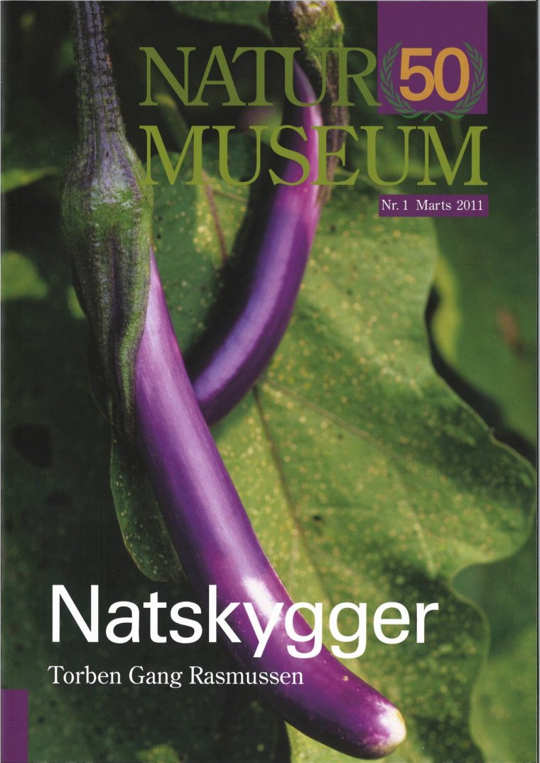 Natskygger